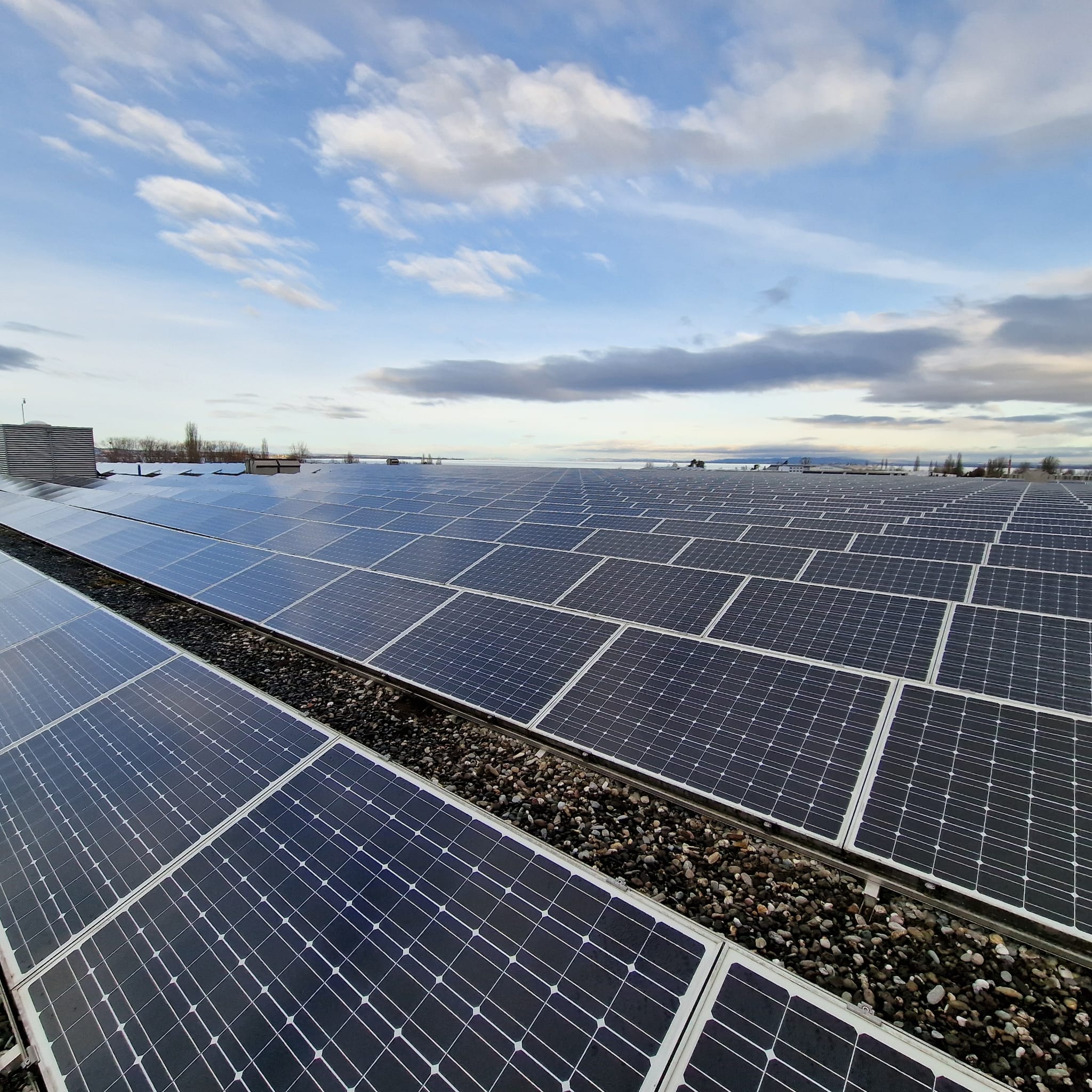 Grossflächige Photovoltaikanlage mit rund 25’000 m² in Solothurn