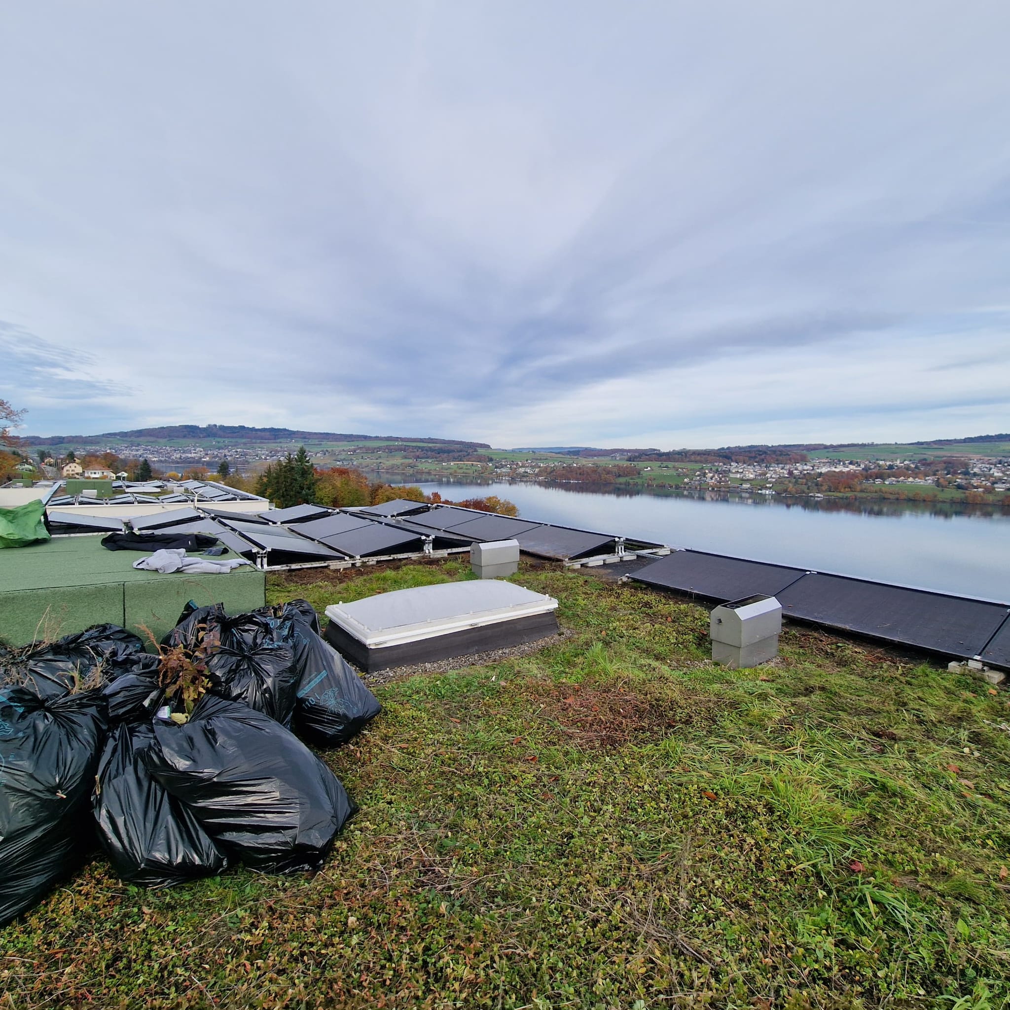 Dachpflege bei Solaranlage im Aargau