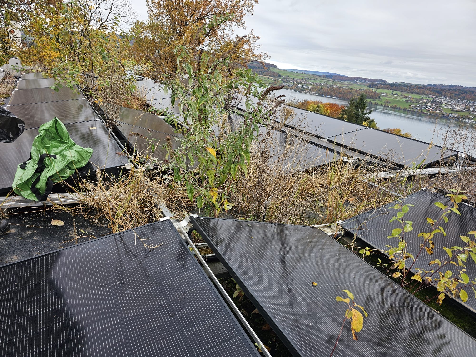 Photovoltaikanlage auf einem begrünten Flachdach im Kanton Aargau