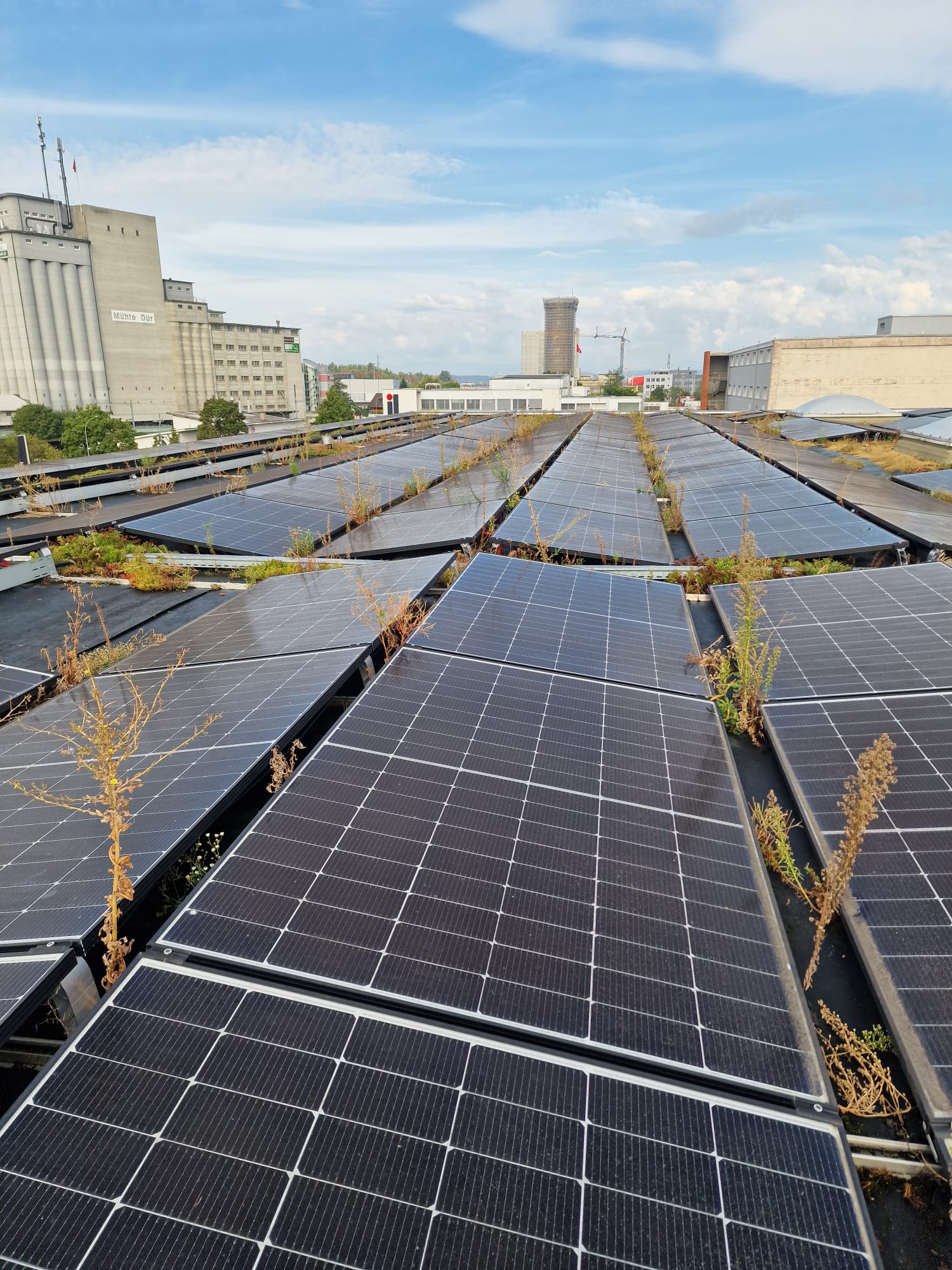 Grosse Photovoltaikanlage auf einem Industriedach im Kanton Bern