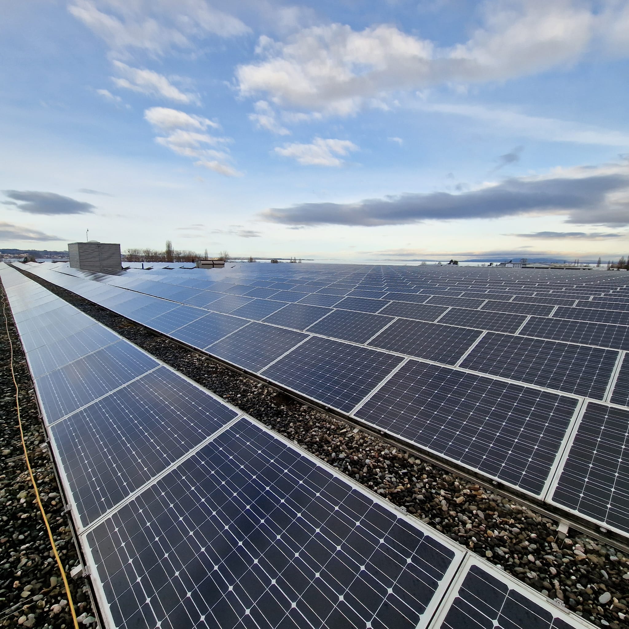 Weitläufige Solarmodule auf einer PV-Grossanlage in Solothurn