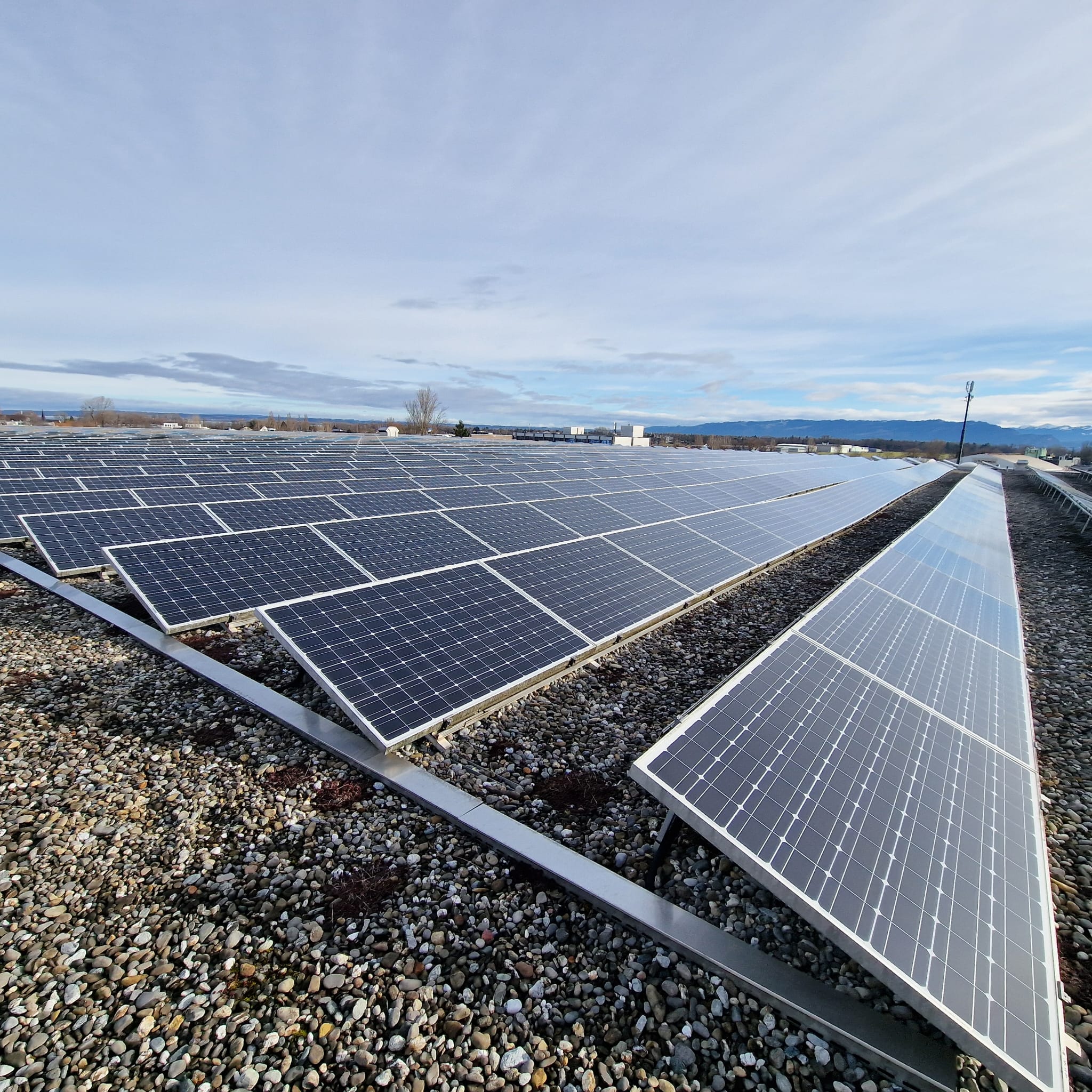 Reihen von Photovoltaikmodulen auf einer 25’000 m² grossen Anlage in Solothurn