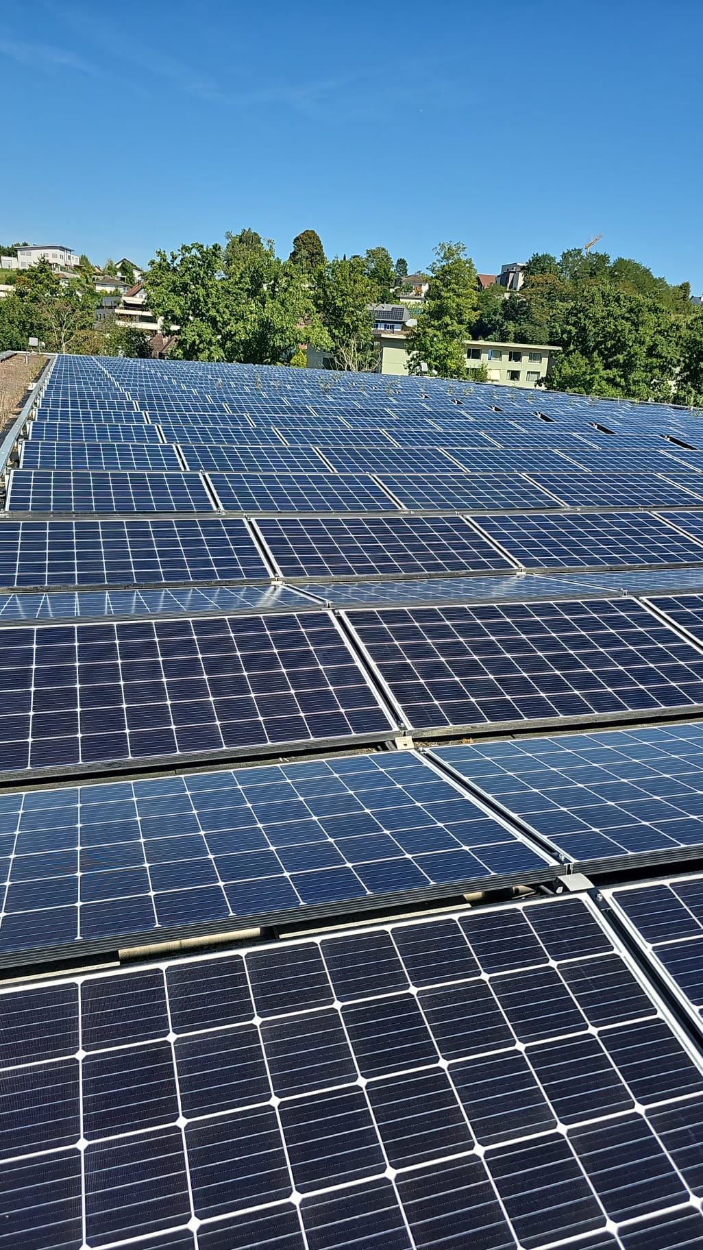 Photovoltaikmodule auf einer grossflächigen Dachanlage bei einem Schwimmbad