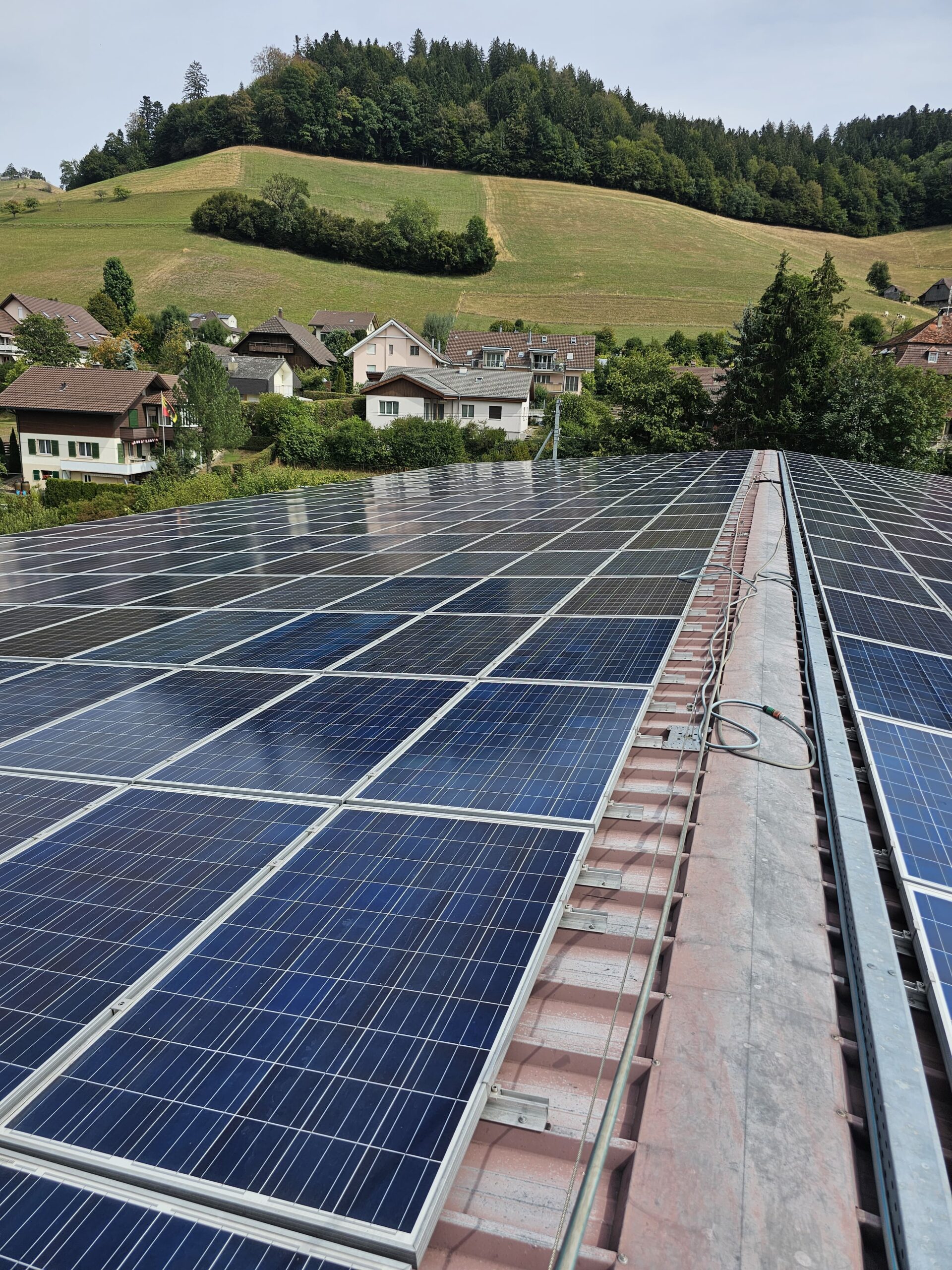 Saubere Solarmodule auf einer grossflächigen landwirtschaftlichen PV-Anlage
